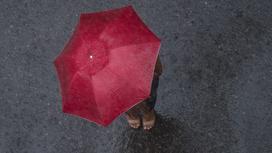 Женщина спряталась под зонтом