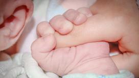 Младенец держит за руку родителя