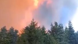 В грузинском Боржоми горит лес