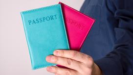 Два паспорта в обложках