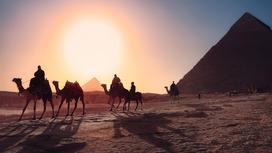 Верблюды в пустыне на фоне египетских пирамид