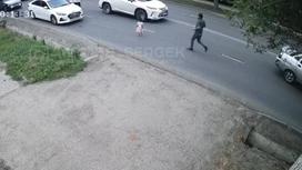 Девочка выбежала на дорогу