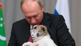 Интернет-мем "Трамп - щенок Путина"