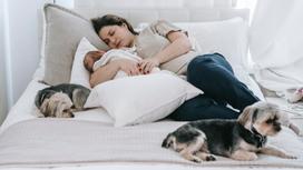 Женщина лежит в кровати с младенцем и с собаками