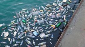Ученые в ужасе: пластиковый мусор достиг Марианской впадины (видео)