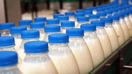 Растительные жиры нашли в продаваемом в Казахстане молоке