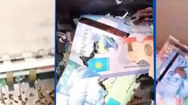 Мыши погрызли деньги в казахстанском банке (видео)