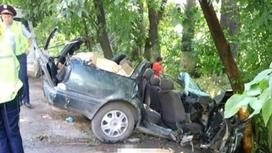 Упавшее на авто дерево убило водителя и пассажира близ Алматы (фото)