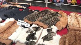 Шубки и жилетки из собак и кошек продают в Китае (фото)