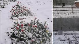 Пять дней до лета: Боровое завалило снегом (фото, видео)