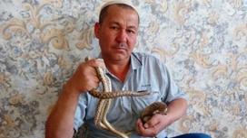 Түркістандық азамат 200 жылан мен 15 кірпі асырап отыр (фото)