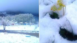 Майский снег «порадовал» жителей ВКО (фото, видео)