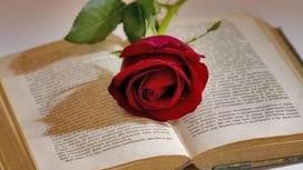 Роза на раскрытой книге