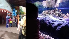 Крупнейший акванариум с медузами и акулами открылся в алматинском зоопарке