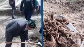 Останки жертв коллективизации обнаружили в Алматинской области (видео)