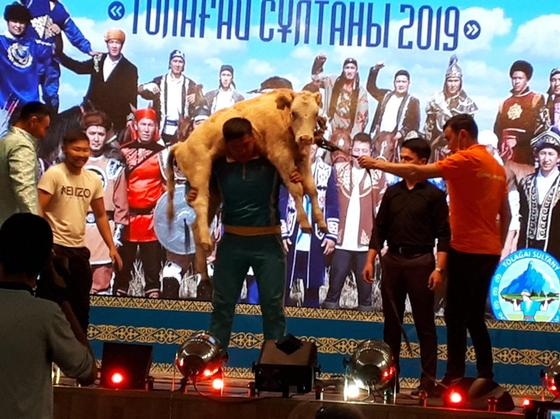 Жігіт сұлтаны: ШҚО-да 120 келі тайыншаны көтерген палуан елді таңырқатты Жігіт сұлтаны: ШҚО-да 120 келі тайыншаны көтерген палуан елді таңырқатты