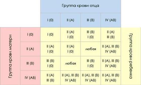 Таблица группы крови Таблица группы крови