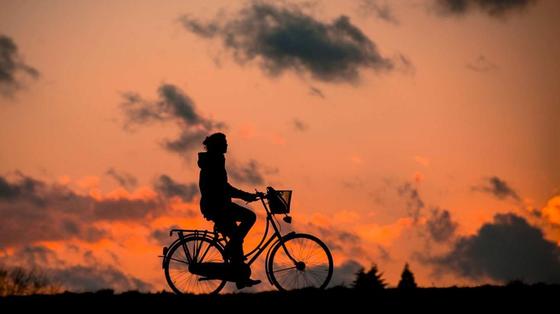 Фото: pixabay.com Фото: pixabay.com