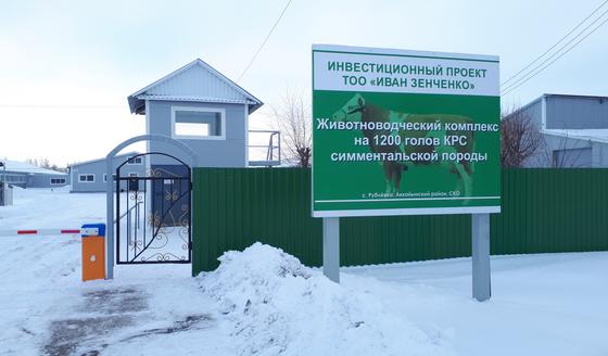 Кони вместо Ламборджини: как живут в Рублевке на Севере Казахстана Кони вместо Ламборджини: как живут в Рублевке на Севере Казахстана