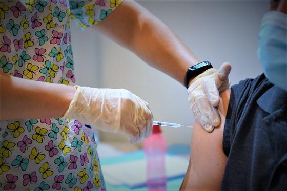 Вакцинация Вакцинация