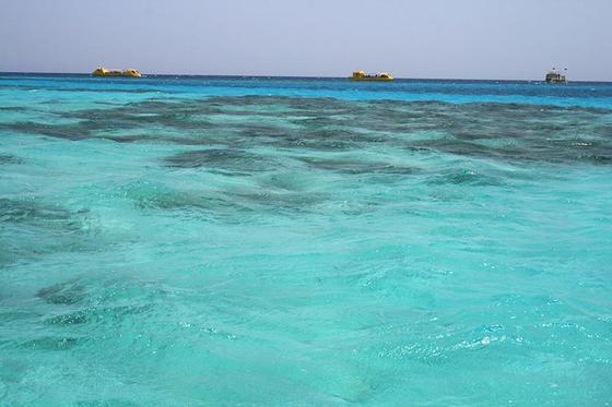 Море в Египте Море в Египте