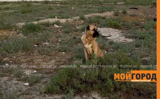 Фото: Мой город Фото: Мой город