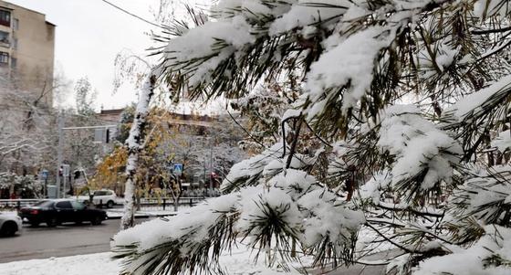 Алматыда 8 наурыз күні ауа-райы 14 градус суық болмақ Алматыда 8 наурыз күні ауа-райы 14 градус суық болмақ