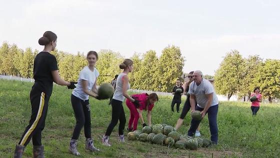 Лукашенко с красивыми девушками собрал арбузы (фото, видео) Лукашенко с красивыми девушками собрал арбузы (фото, видео)