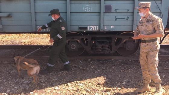 Пограничник проводит обыск Пограничник проводит обыск