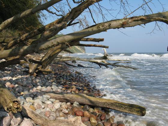 Морской берег Морской берег