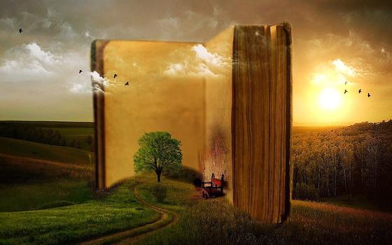 книга книга