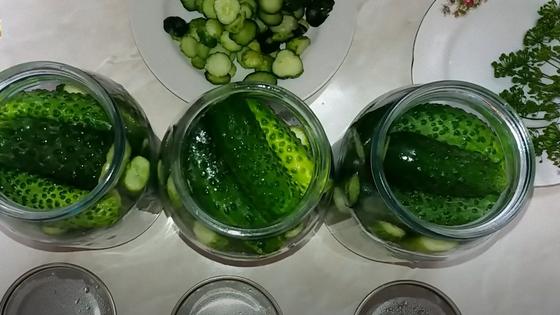 как сделать сухарики со вкусом малосольных огурцов. Смотреть фото как сделать сухарики со вкусом малосольных огурцов. Смотреть картинку как сделать сухарики со вкусом малосольных огурцов. Картинка про как сделать сухарики со вкусом малосольных огурцов. Фото как сделать сухарики со вкусом малосольных огурцов