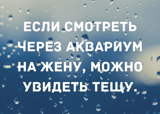 Анекдоты про тещу Анекдоты про тещу