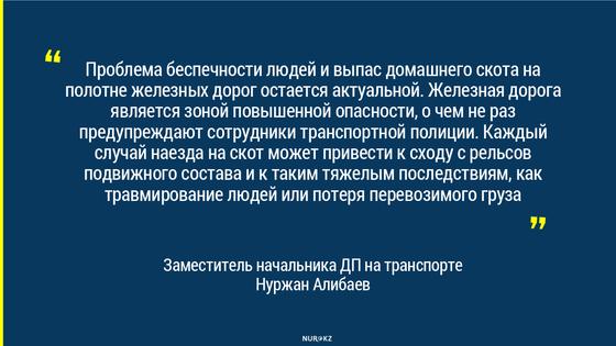 Нуржан Алибаев Нуржан Алибаев