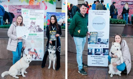 Фотосессия в поддержку приюта "Дос" Фотосессия в поддержку приюта "Дос"