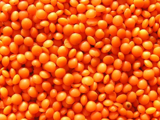 Много красной чечевицы Много красной чечевицы