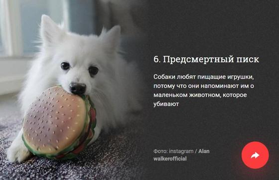 ФОТОРЕП 10 неприятных фактов, которые вам не хотелось бы узнать, но все равно придется ФОТОРЕП 10 неприятных фактов, которые вам не хотелось бы узнать, но все равно придется