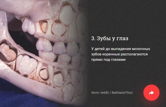 ФОТОРЕП 10 неприятных фактов, которые вам не хотелось бы узнать, но все равно придется ФОТОРЕП 10 неприятных фактов, которые вам не хотелось бы узнать, но все равно придется