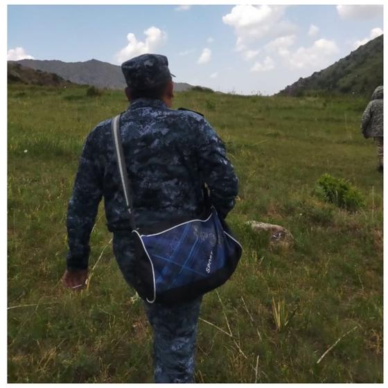 Тау Тау