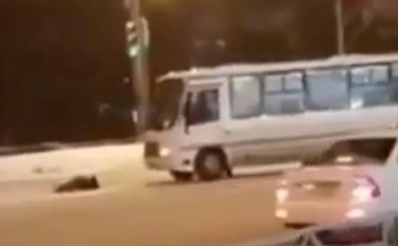 Видеодан кадр, astana_zello_01 Видеодан кадр, astana_zello_01