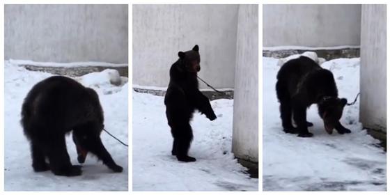 Фото: Видеодан кадр Фото: Видеодан кадр