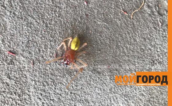 Фото: Мой город Фото: Мой город