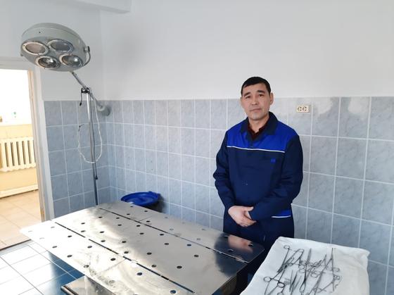 Новый способ решения проблемы с бродячими собаками придумали в Уральске Новый способ решения проблемы с бродячими собаками придумали в Уральске