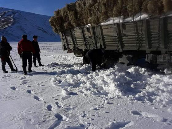 Моңғолияның қыстауында тұратын қазақтардың малы жұттан қырылып қалды Моңғолияның қыстауында тұратын қазақтардың малы жұттан қырылып қалды