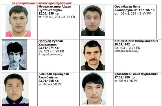 ваиапи ваиапи