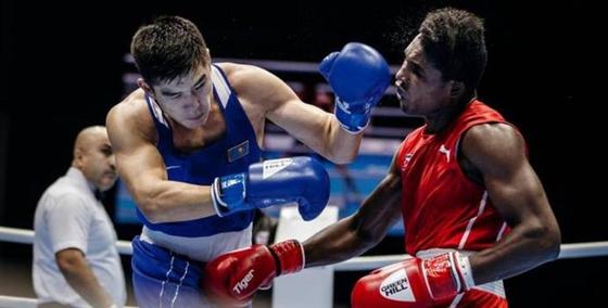 Фото: boxing2019.com Фото: boxing2019.com