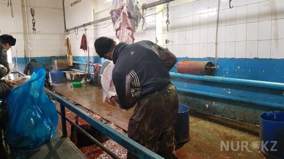 На Западе нашей страны покупка "согыма" обходится в 450 тысяч тенге На Западе нашей страны покупка "согыма" обходится в 450 тысяч тенге
