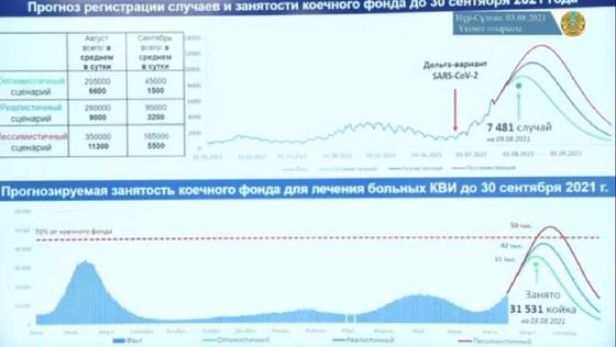 Инфографика Инфографика