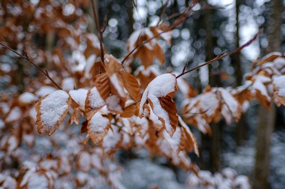 Көрнекі фото: pixabay.com Көрнекі фото: pixabay.com