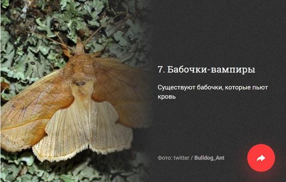 ФОТОРЕП 10 неприятных фактов, которые вам не хотелось бы узнать, но все равно придется ФОТОРЕП 10 неприятных фактов, которые вам не хотелось бы узнать, но все равно придется